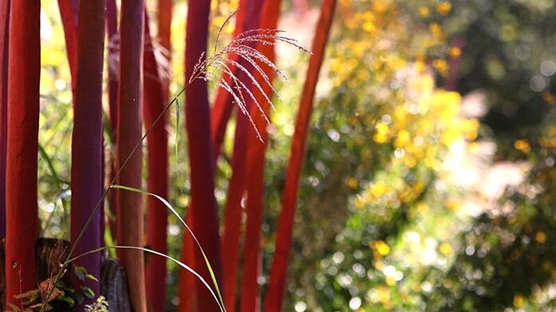 Der Frühling lockt im EINS+ALLES | Erfahrungsfeld der Sinne