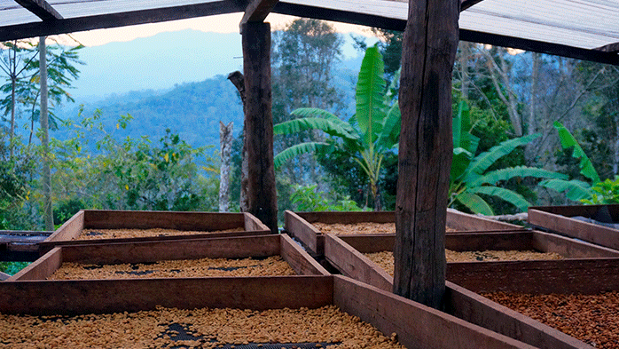 Trockenbetten in Peru